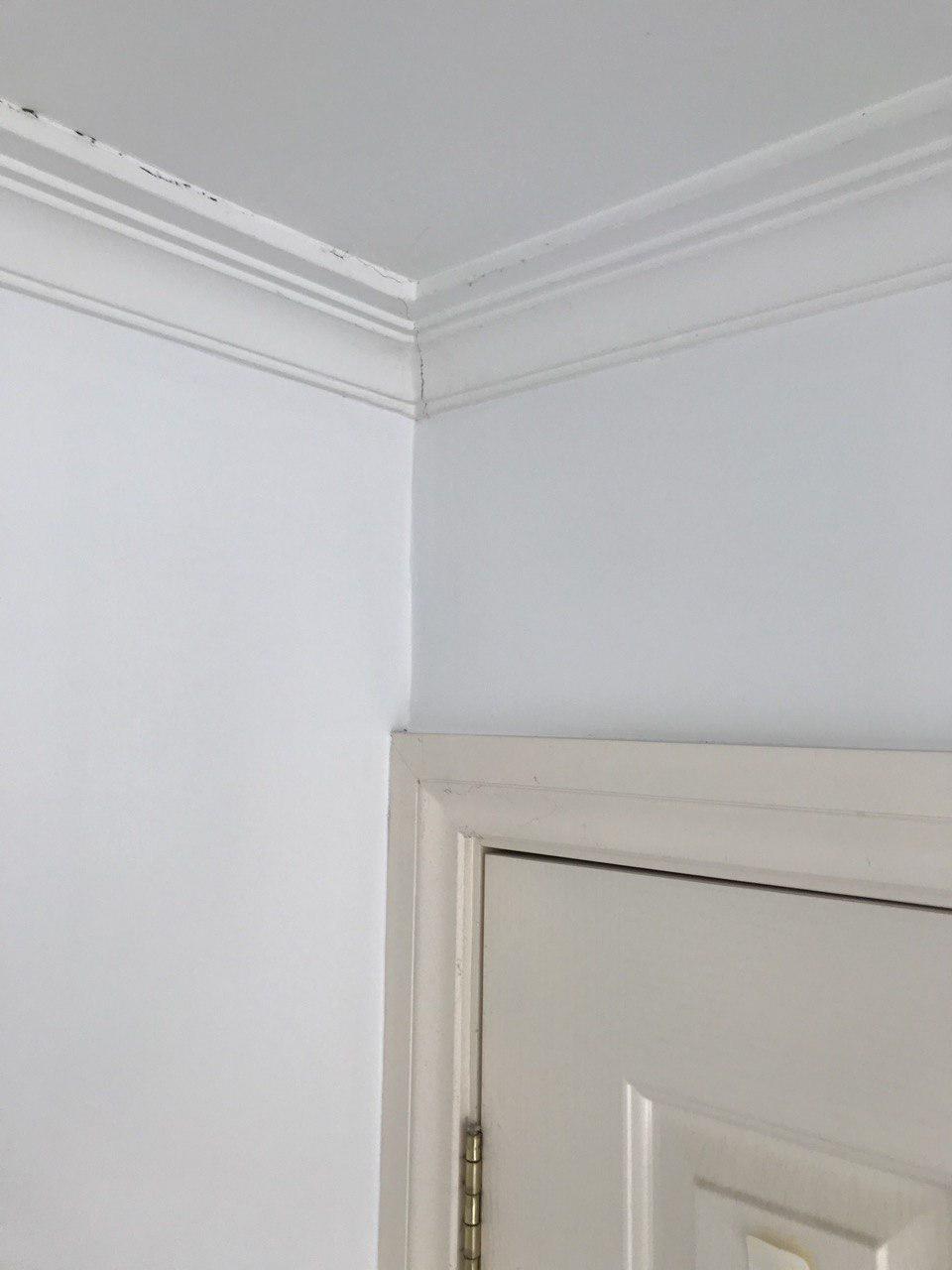 Golden Guys Painting Services